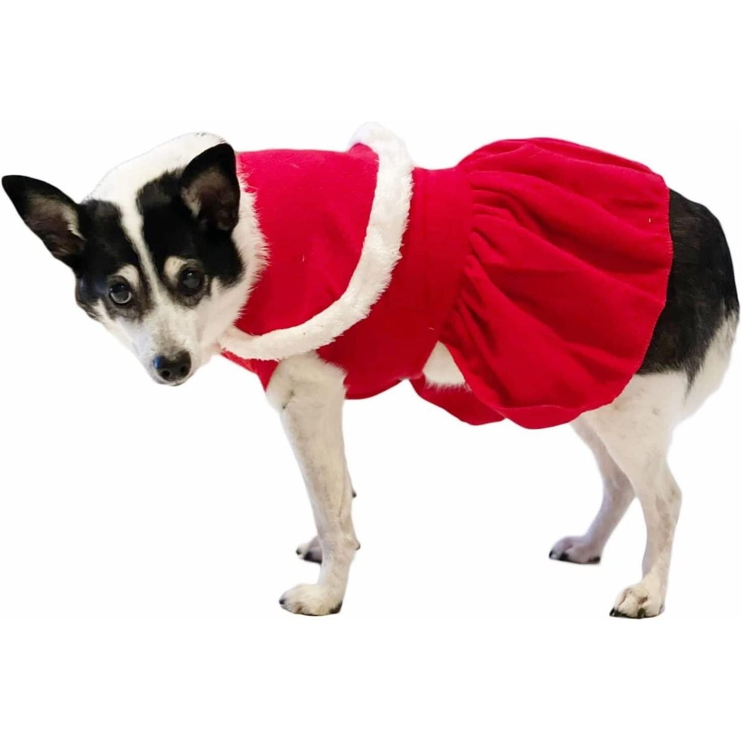 SMALL DOG BREED ONLY Cat Christmas Red White Santa Dog Winter Coat Outfit