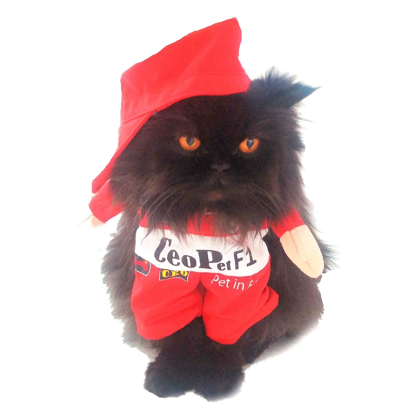 Cute Funny SMALL DOG ONLY Doggie Puppy Cat Accessories Halloween Outfit Fleece Warm Winter Girl Boy Jumper Coat Clothes Hoodies Fancy Dress Costume Ideas Pullover Racing Car Driver Medium