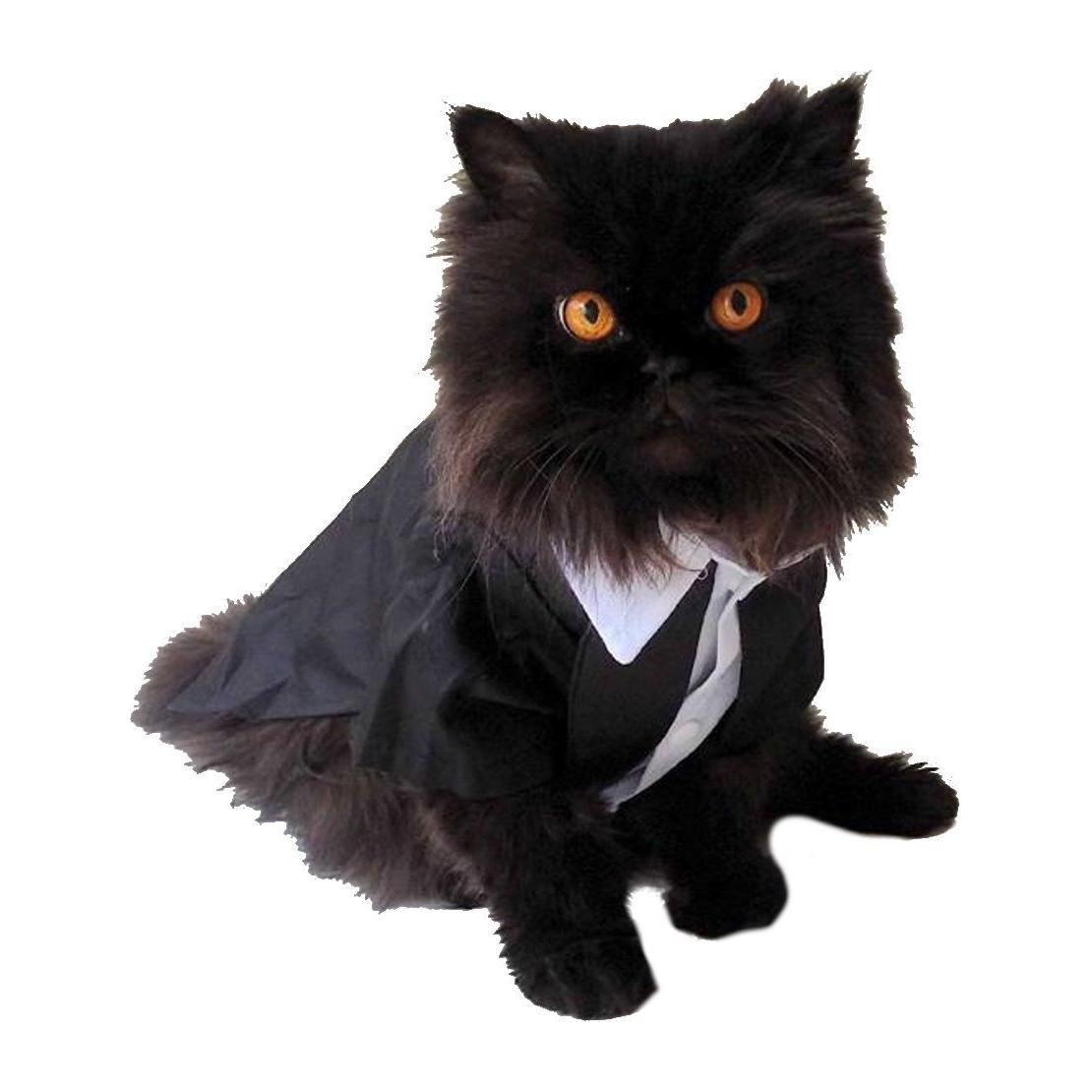 Cute Black & White SMALL DOG BREED Cat Tuxedo Costume Outfit Girl Boy Jumper Costume