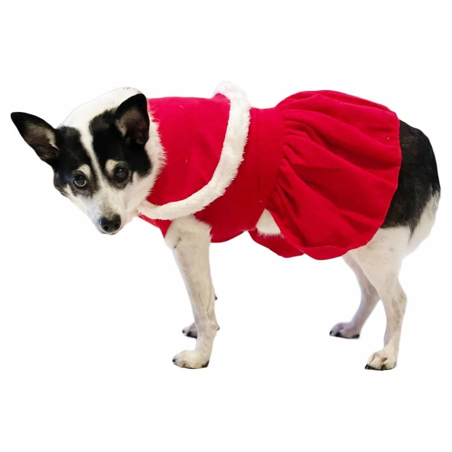 SMALL DOG BREED ONLY Cat Christmas Red White Santa Dog Winter Coat Outfit