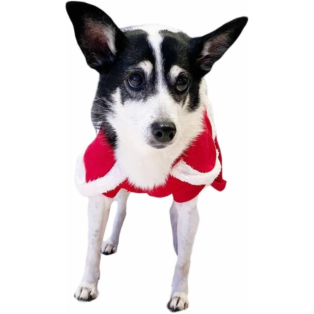 SMALL DOG BREED ONLY Cat Christmas Red White Santa Dog Winter Coat Outfit