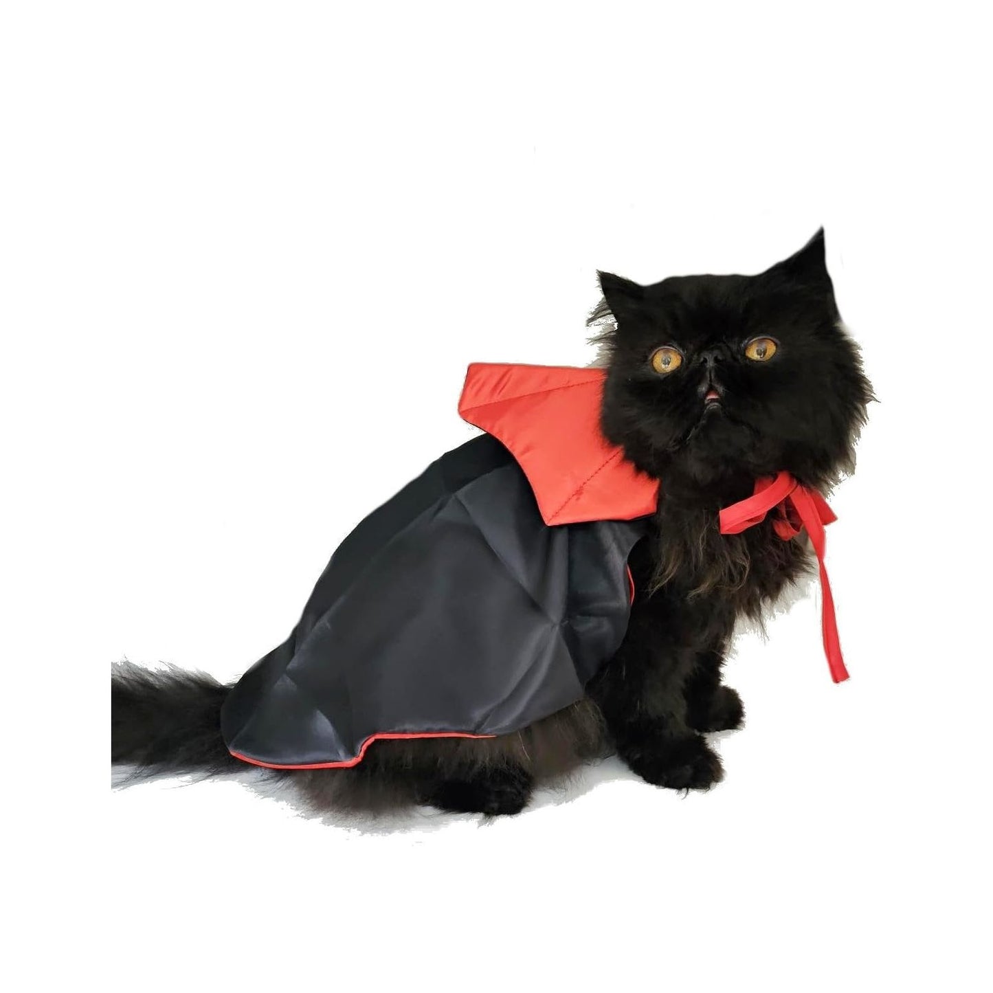 Cute Funny SMALL DOG ONLY Doggie Puppy Cat Accessories Halloween Outfit Girl Boy Coat Clothes Hoodies Fancy Dress Costume Ideas Black Red Reversable Dracula Vampire Cape