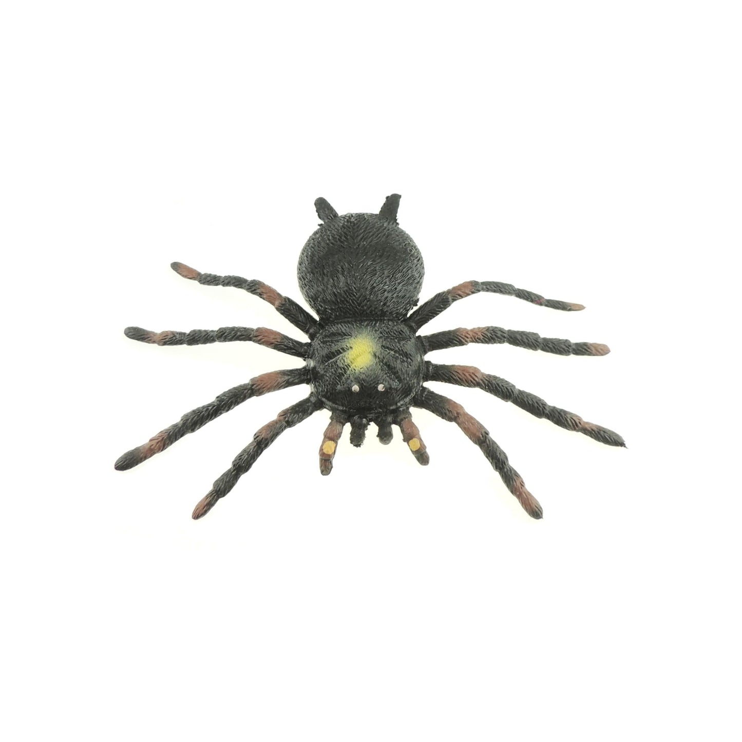 Kids Childrens Stretchy Tarantula Spider Insect Spotted Black Lifelike Realistic Play Educational Sensory ADHD Stress Relief Figurine Toy Figures Figurine