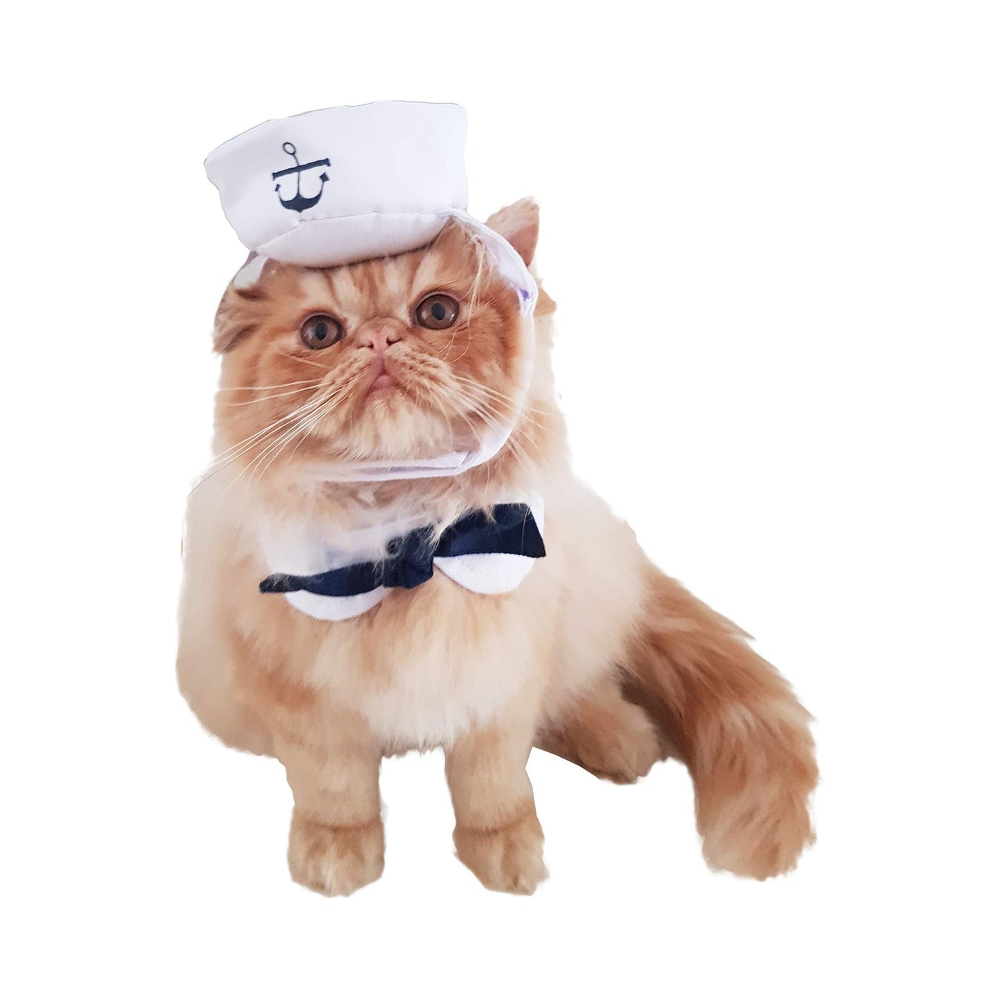 Cute Funny SMALL DOG ONLY Doggie Puppy Cat Accessories Halloween Outfit Girl Boy Coat Clothes Hoodies Fancy Dress Costume Ideas Naval Marine Maritime Sailor White Hat & Cape